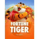 Fortune Tiger