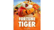 Fortune Tiger