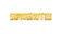 Slingshot Studios, estúdio canadense criador de slots exclusivos para Microgaming.