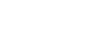 Logo da Wazdan, desenvolvedora de slots e jogos de cassino com recursos inovadores como Volatility Levels™.