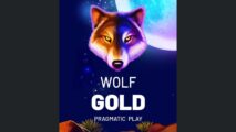 Wolf Gold